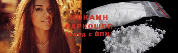 соль ск Белокуриха