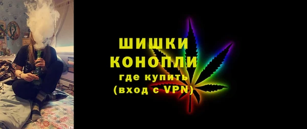 соль ск Белокуриха