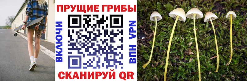 Галлюциногенные грибы GOLDEN TEACHER площадка состав Калининец